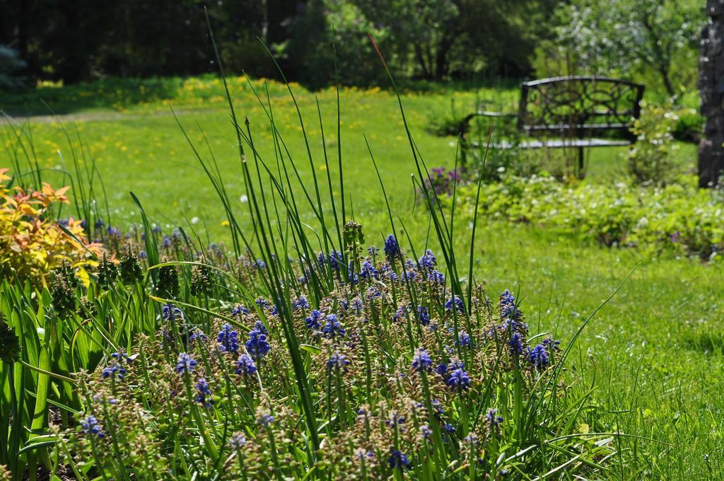 Mokko Country Hotel Palamuse Екстер'єр фото